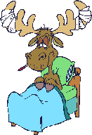 Sick_moose