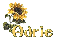 adrie/adrie-842156