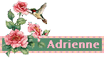 adrienne/adrienne-539349
