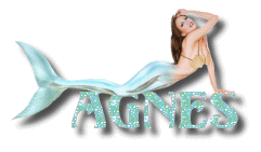 agnes/agnes-336442