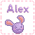 alex/alex-103302