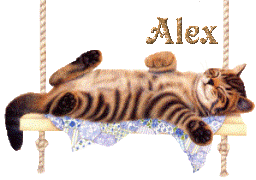 alex/alex-746764