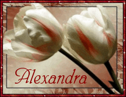 alexandra/alexandra-364565