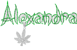 alexandra/alexandra-391223