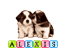 alexis/alexis-134120