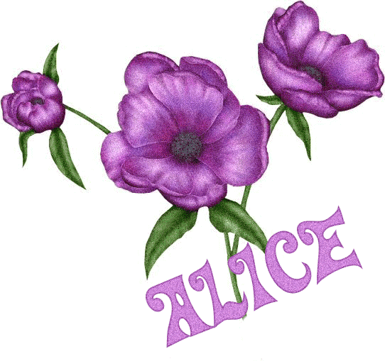 alice/alice-777158
