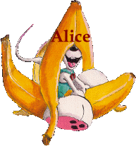 alice/alice-947103