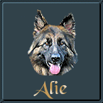 alie/alie-095962