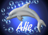 alie/alie-731717