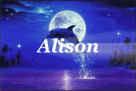 alison/alison-231912