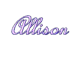 allison/allison-046526