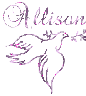 allison/allison-050976