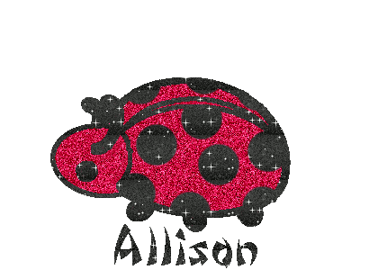 allison/allison-106508
