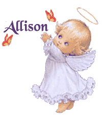 allison/allison-587574
