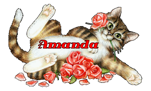 amanda/amanda-339204