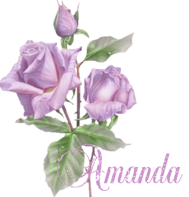amanda/amanda-374830