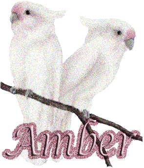 amber/amber-036892