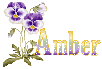 amber/amber-373948