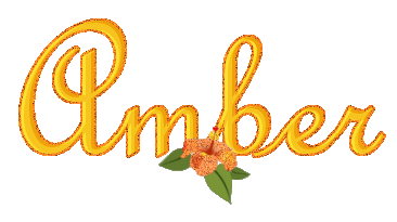 amber/amber-786536