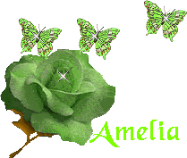amelia/amelia-040525