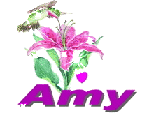 amy/amy-132172