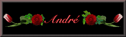 andre/andre-333406