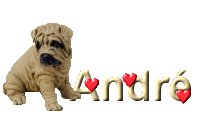 andre/andre-487188