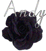 andy/andy-597747