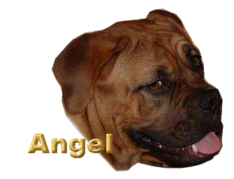 angel/angel-419381