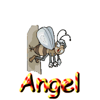 angel/angel-900290