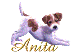 anita/anita-482129
