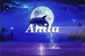 anita/anita-991899