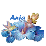 anja/anja-946348
