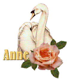 anne/anne-170162