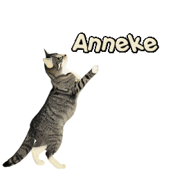 anneke/anneke-470767