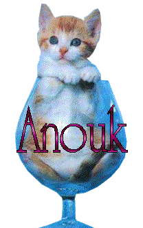 anouk/anouk-537319