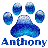 anthony/anthony-546108