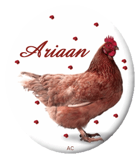 ariaan/ariaan-372993