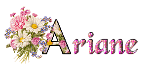ariane/ariane-087554