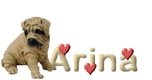arina/arina-720785