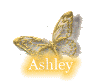 ashley/ashley-251524