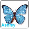 ashley/ashley-388938