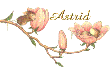 astrid/astrid-294386