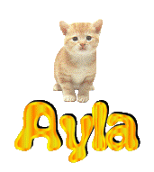 ayla/ayla-947894