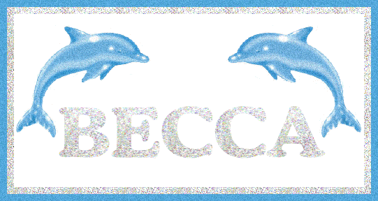 becca/becca-194259