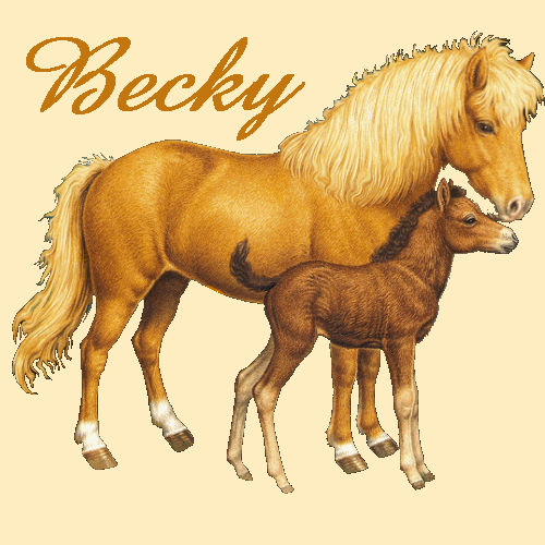 becky/becky-803001