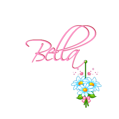 bella/bella-691641