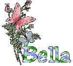 bella/bella-936304