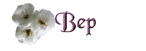 bep/bep-009104