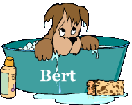 bert/bert-378265